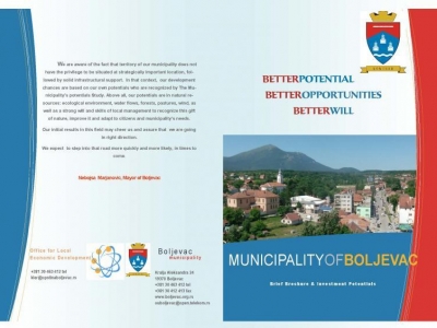 Municipality of Boljevac